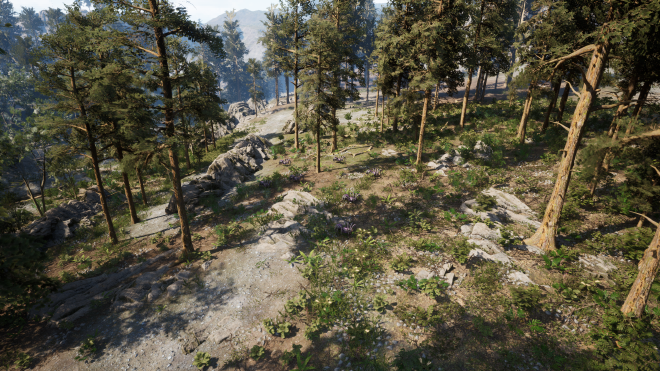 Screenshot of Gustus Forest